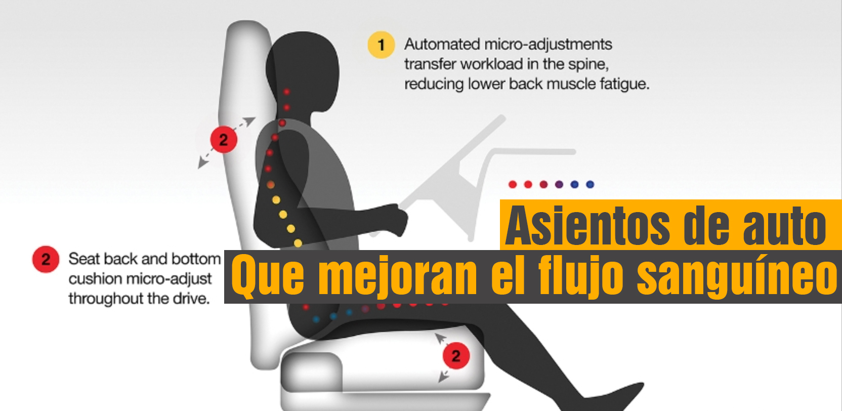 Asientos de auto que mejoran el flujo sanguíneo